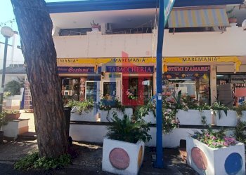 Foto 4 - Attività Commerciale lungomare tor san lorenzo
 
112/114, Ardea - foto 4