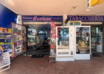 Foto 5 - Attività Commerciale lungomare tor san lorenzo
 
112/114, Ardea - foto 5