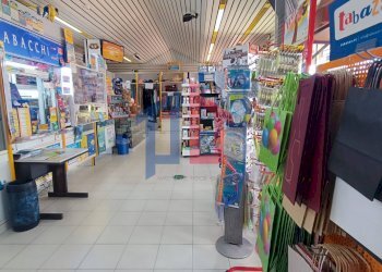 Foto 6 - Attività Commerciale lungomare tor san lorenzo
 
112/114, Ardea - foto 6