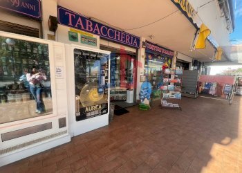 Foto 11 - Attività Commerciale lungomare tor san lorenzo
 
112/114, Ardea - foto 11