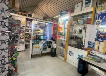 Foto 16 - Attività Commerciale lungomare tor san lorenzo
 
112/114, Ardea - foto 16