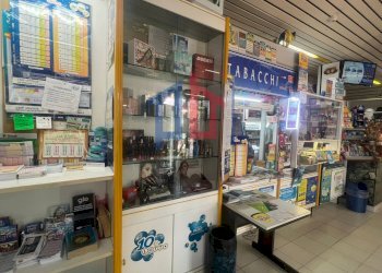 Foto 17 - Attività Commerciale lungomare tor san lorenzo
 
112/114, Ardea - foto 17