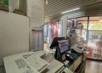 Foto 19 - Attività Commerciale lungomare tor san lorenzo
 
112/114, Ardea - foto 19