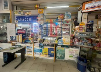 Foto 30 - Attività Commerciale lungomare tor san lorenzo
 
112/114, Ardea - foto 30