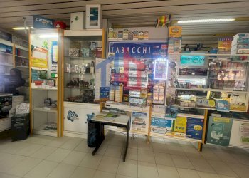 Foto 31 - Attività Commerciale lungomare tor san lorenzo
 
112/114, Ardea - foto 31