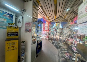 Foto 32 - Attività Commerciale lungomare tor san lorenzo
 
112/114, Ardea - foto 32