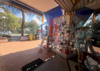 Foto 34 - Attività Commerciale lungomare tor san lorenzo
 
112/114, Ardea - foto 34