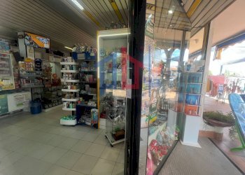 Foto 37 - Attività Commerciale lungomare tor san lorenzo
 
112/114, Ardea - foto 37