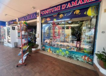 Foto 41 - Attività Commerciale lungomare tor san lorenzo
 
112/114, Ardea - foto 41