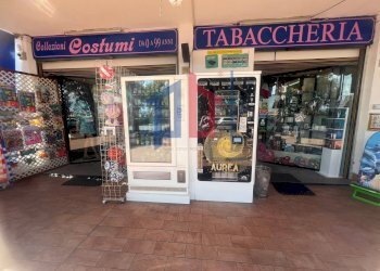 Foto 43 - Attività Commerciale lungomare tor san lorenzo
 
112/114, Ardea - foto 43