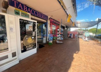 Foto 44 - Attività Commerciale lungomare tor san lorenzo
 
112/114, Ardea - foto 44