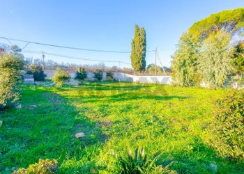 Giardino - Villa Strada Guardarello, Martina Franca - foto 16