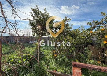 Foto 18 - Villa Strada Dei Vini
 
16, Brindisi - foto 18