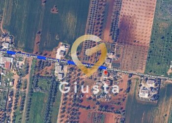 Foto 1 - Terreno agricolo Contrada canali, Carovigno - foto 1