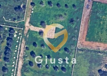 Foto 2 - Terreno agricolo Contrada canali, Carovigno - foto 2