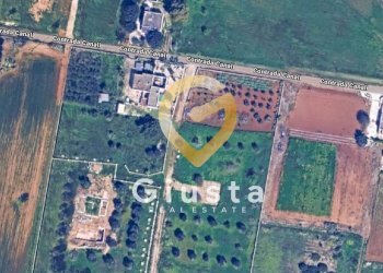 Foto 3 - Terreno agricolo Contrada canali, Carovigno - foto 3