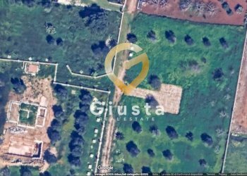 Foto 4 - Terreno agricolo Contrada canali, Carovigno - foto 4