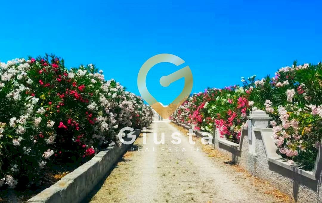 Foto 3 - Appartamento CONTRADA SAN BENEDETTO, Ostuni - foto 3