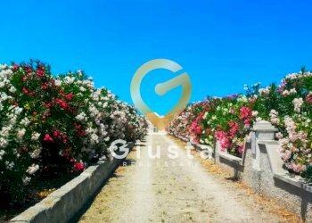 Foto 3 - Appartamento CONTRADA SAN BENEDETTO, Ostuni - foto 3