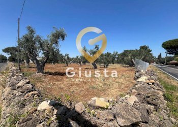 Foto 2 - Terreno edificabile Via camigliatello, Mesagne - foto 2