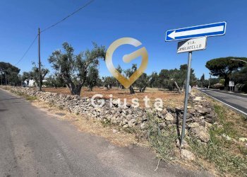 Foto 3 - Terreno edificabile Via camigliatello, Mesagne - foto 3