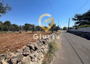 Foto 4 - Terreno edificabile Via camigliatello, Mesagne - foto 4