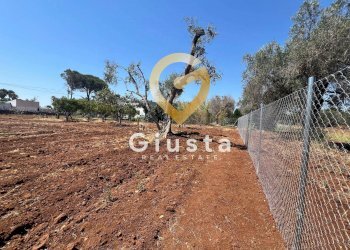 Foto 5 - Terreno edificabile Via camigliatello, Mesagne - foto 5