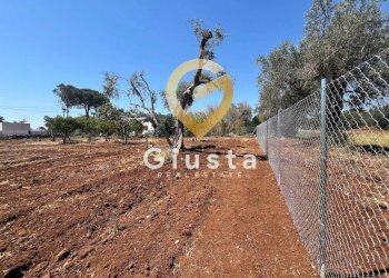 Foto 6 - Terreno edificabile Via camigliatello, Mesagne - foto 6