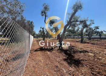 Foto 7 - Terreno edificabile Via camigliatello, Mesagne - foto 7