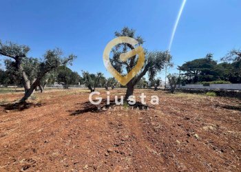 Foto 11 - Terreno edificabile Via camigliatello, Mesagne - foto 11