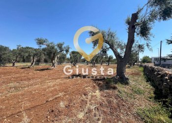 Foto 12 - Terreno edificabile Via camigliatello, Mesagne - foto 12