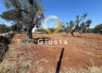 Foto 13 - Terreno edificabile Via camigliatello, Mesagne - foto 13