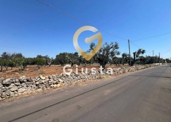 Foto 14 - Terreno edificabile Via camigliatello, Mesagne - foto 14