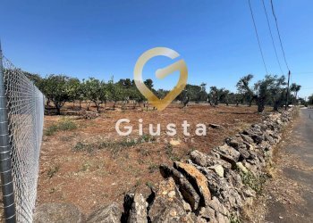 Foto 16 - Terreno edificabile Via camigliatello, Mesagne - foto 16