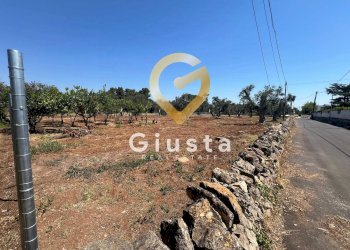 Foto 17 - Terreno edificabile Via camigliatello, Mesagne - foto 17