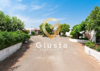 Foto 3 - Rustico CONTRADA CORREO
 
1, Carovigno - foto 3