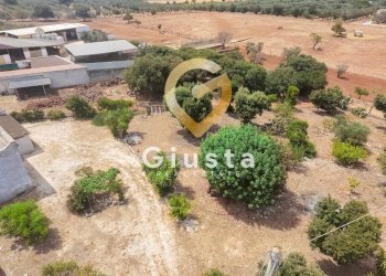 Foto 21 - Rustico CONTRADA CORREO
 
1, Carovigno - foto 21