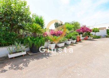 Foto 35 - Rustico CONTRADA CORREO
 
1, Carovigno - foto 35