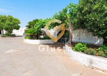 Foto 36 - Rustico CONTRADA CORREO
 
1, Carovigno - foto 36