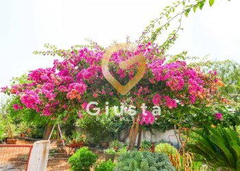 Foto 37 - Rustico CONTRADA CORREO
 
1, Carovigno - foto 37