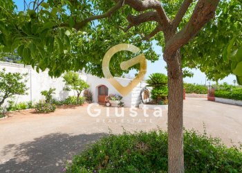 Foto 38 - Rustico CONTRADA CORREO
 
1, Carovigno - foto 38