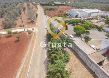 Foto 39 - Rustico CONTRADA CORREO
 
1, Carovigno - foto 39