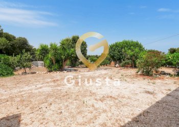 Foto 45 - Rustico CONTRADA CORREO
 
1, Carovigno - foto 45