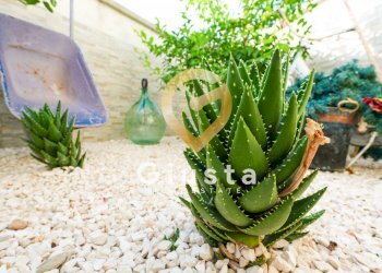 Foto 29 - Trilocale Via Agrigento
 
60, Mesagne - foto 29