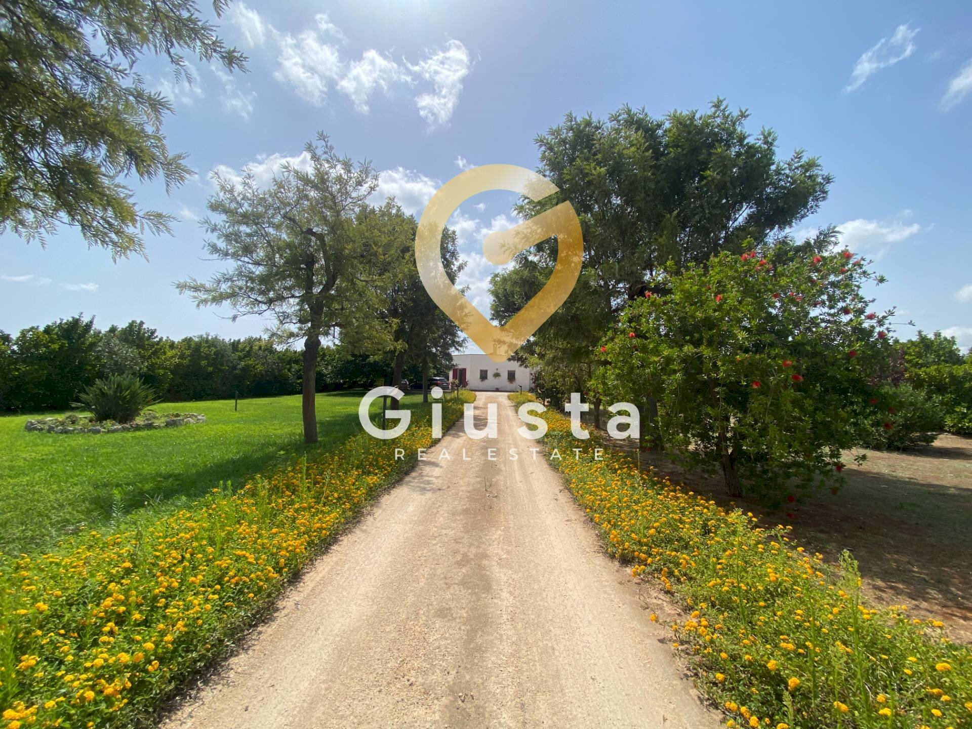 Foto 2 - Villa Contrada Torricella
 
Sn, Brindisi - foto 2