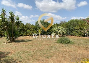 Foto 8 - Villa Contrada Torricella
 
Sn, Brindisi - foto 8