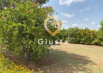 Foto 9 - Villa Contrada Torricella
 
Sn, Brindisi - foto 9