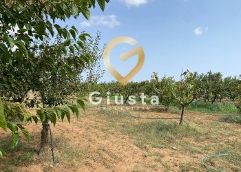 Foto 31 - Villa Contrada Torricella
 
Sn, Brindisi - foto 31