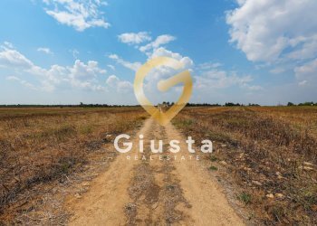 Foto 13 - Agriturismo Contrada Baccone
SN, Mesagne - foto 13