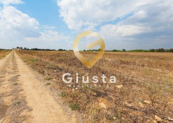 Foto 14 - Agriturismo Contrada Baccone
SN, Mesagne - foto 14